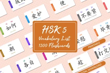 Học 2600 Từ Vựng HSK6 Flashcard